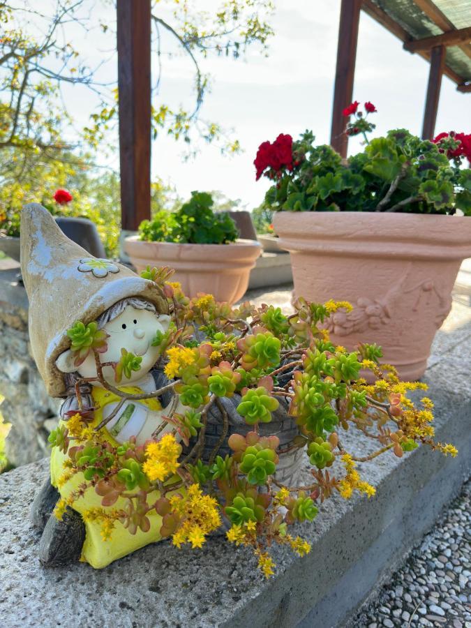 Villa Matilde Catabbio Εξωτερικό φωτογραφία